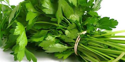 Healthy Foods: Parsley – Benefitby